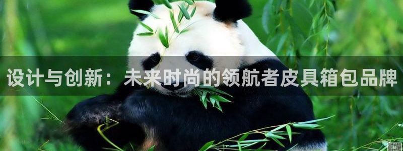 富邦娱乐网址是
