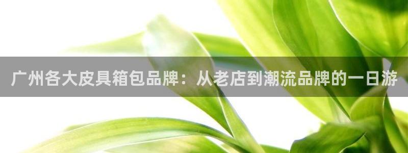 富邦娱乐城
