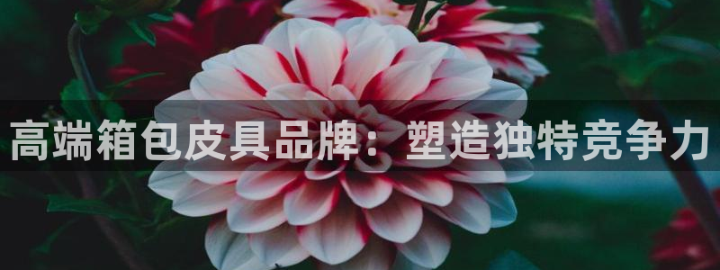 富邦娱乐平台网址