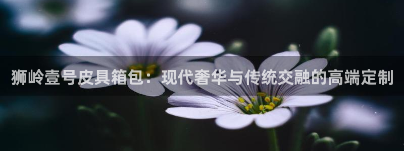 富邦娱乐 全礴网
