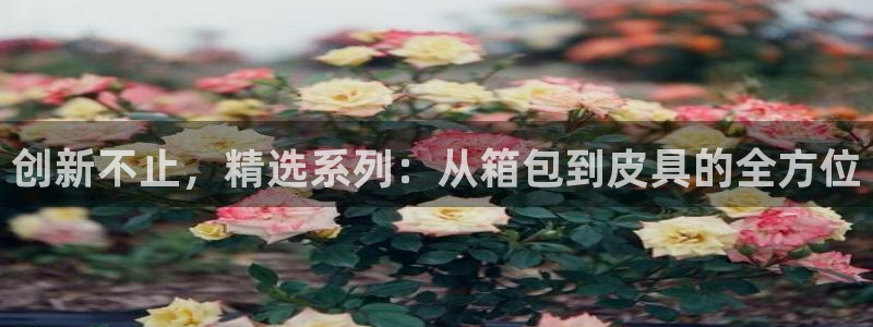 富邦娱乐网址是