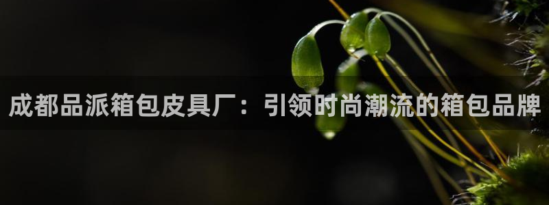 富邦娱乐app的三个版本