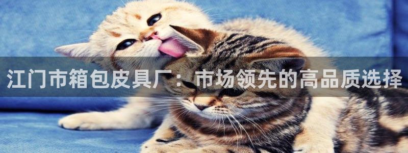 富邦娱乐活动