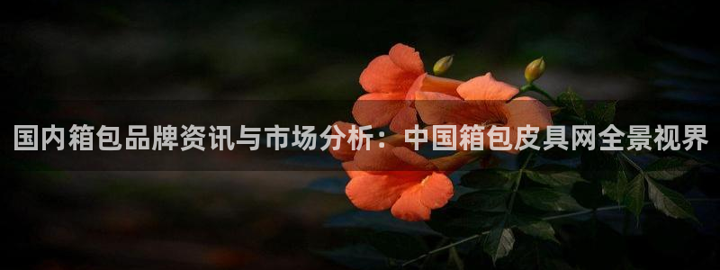 富邦娱乐怎么样