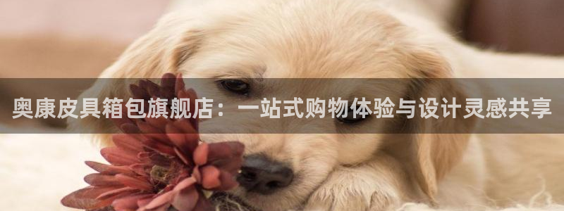 富邦娱乐场所