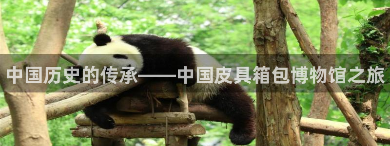 北仑富邦娱乐会所电话