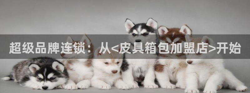 富邦历山湾娱乐