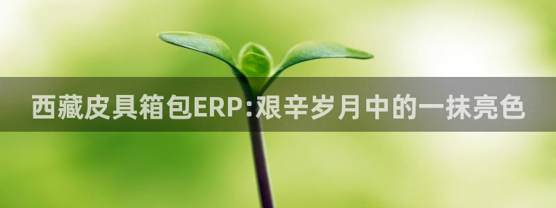 富邦娱乐注册 全礴网