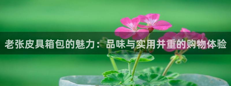莆田富邦附近休闲娱乐场所
