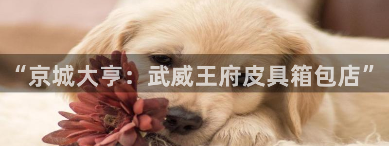 杭州富邦娱乐会所 MM挑选到满意