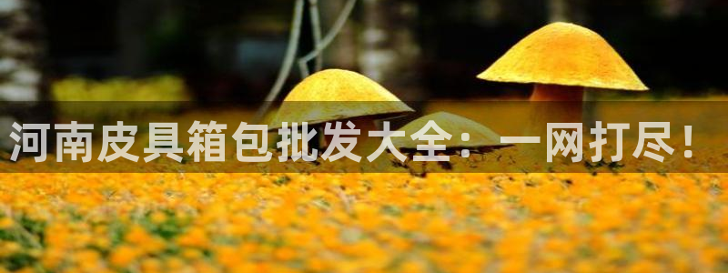 f08富邦娱乐
