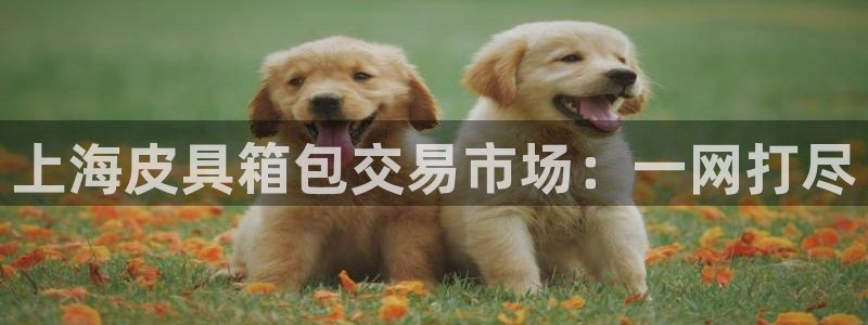 富邦娱乐