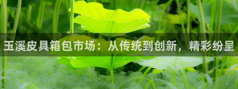 天象娱乐和宁波富邦