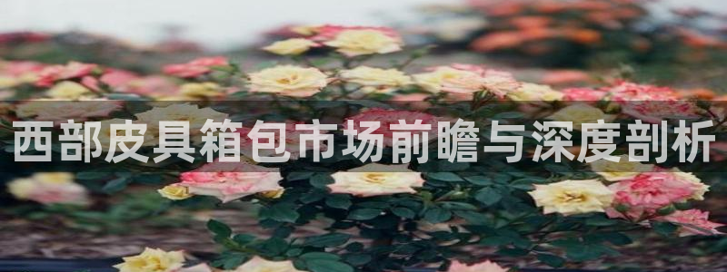 富邦娱乐平台登录网址