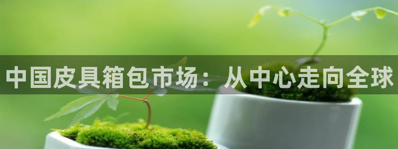 富邦娱乐网址是多少