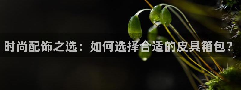 富邦 娱乐 花花公子
