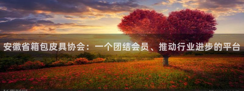 杭州富邦娱乐集团