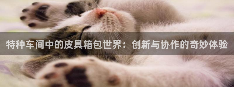 富邦娱乐平台登录网址