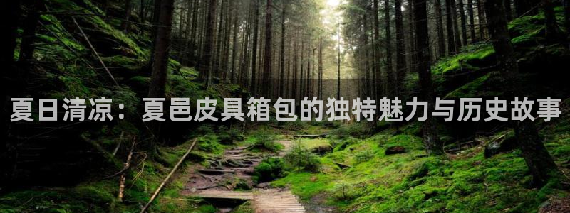 富邦娱乐国际