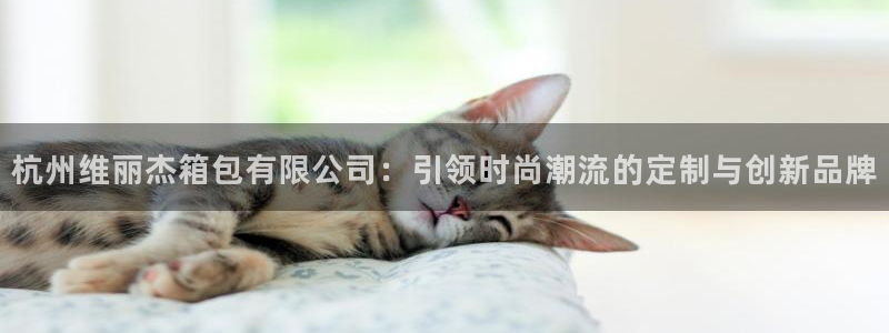 富邦娱乐场