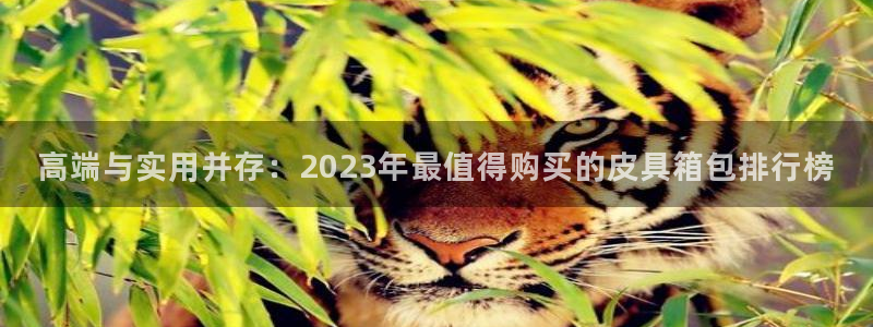 富邦现场娱乐