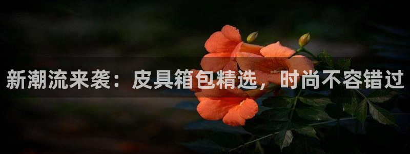 临平富邦娱乐场所