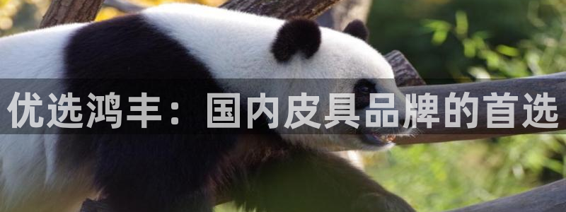 富邦娱乐开户
