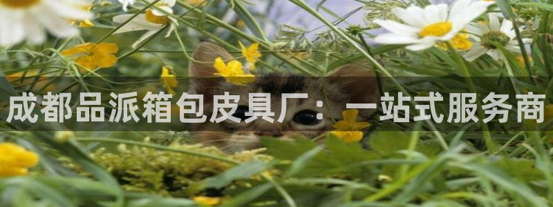 富邦娱乐合并