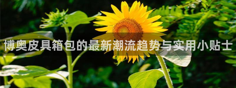 富邦翡翠娱乐怎么样
