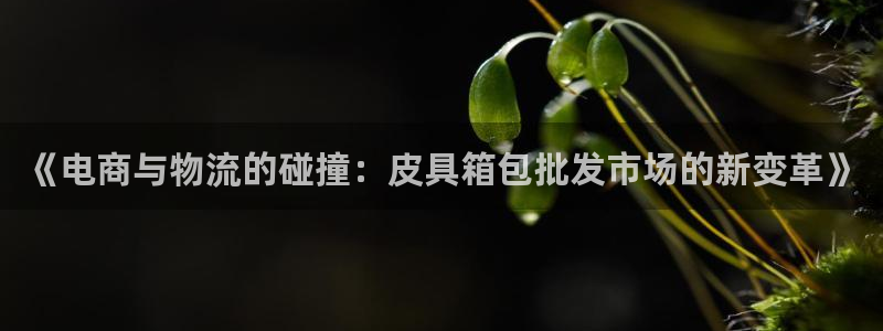 北仑富邦娱乐会所招聘