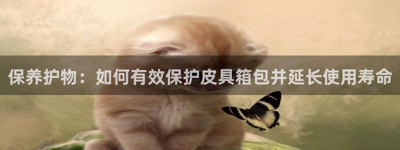 富邦娱乐城fub