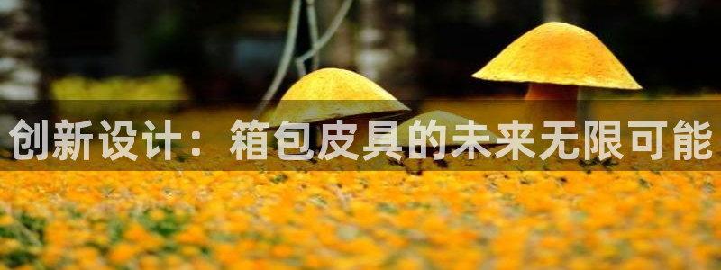 杭州富邦娱乐在营业吗