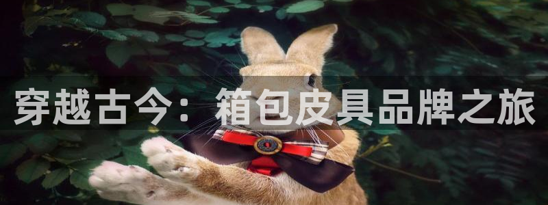 杭州临平富邦娱乐厅