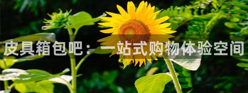 富邦酒店有娱乐场所嘛