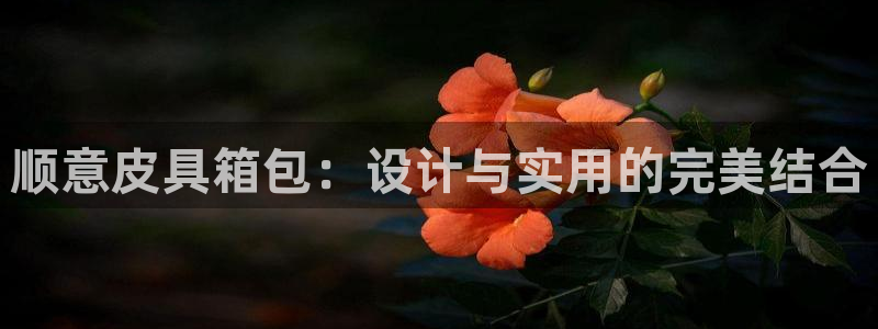 富邦娱乐团购卡怎么用