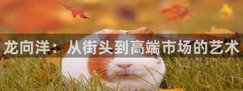 富邦娱乐注册-上全狐网