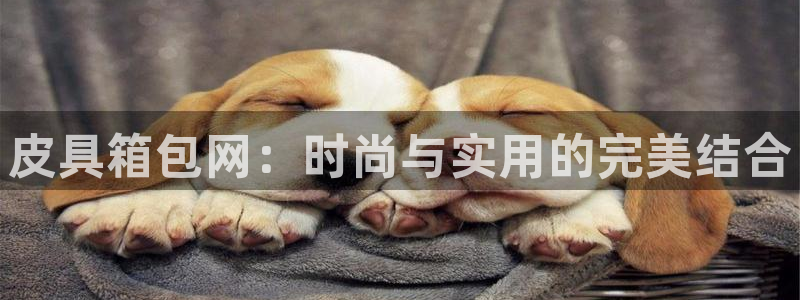 北仑富邦娱乐