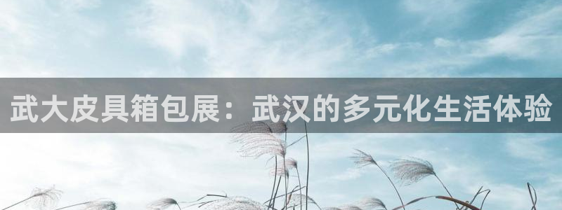 富邦娱乐有限公司