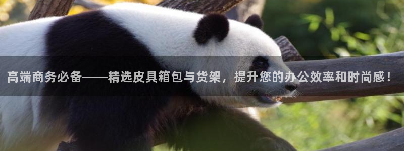 富邦娱乐登入上银狐网