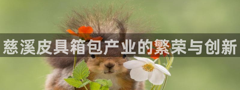 北仑富邦娱乐会所电话