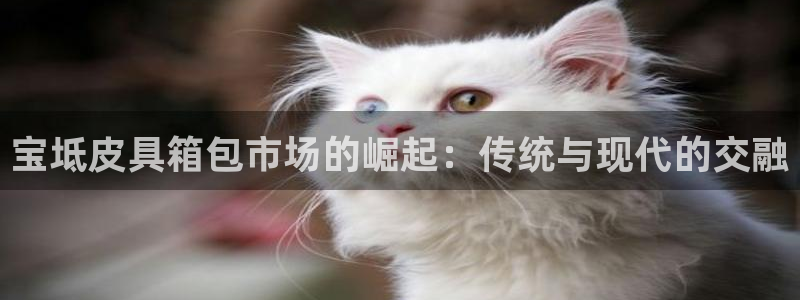 富邦娱乐被风控怎么办