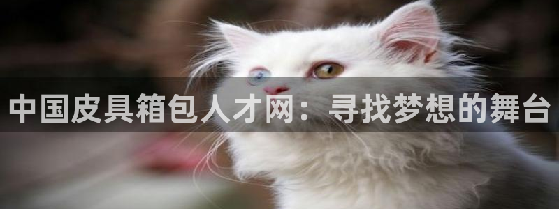 富邦娱乐官方网站