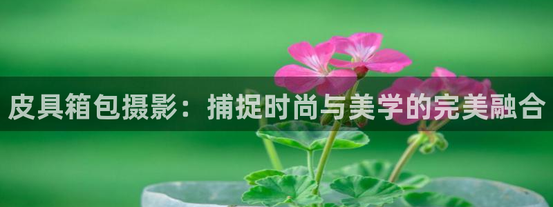 富邦娱乐会所杭州