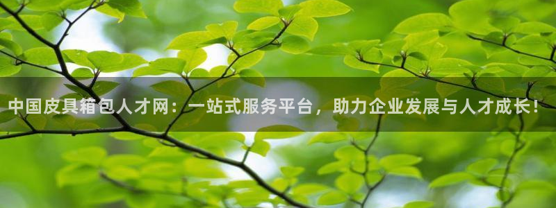 富邦大酒店娱乐项目
