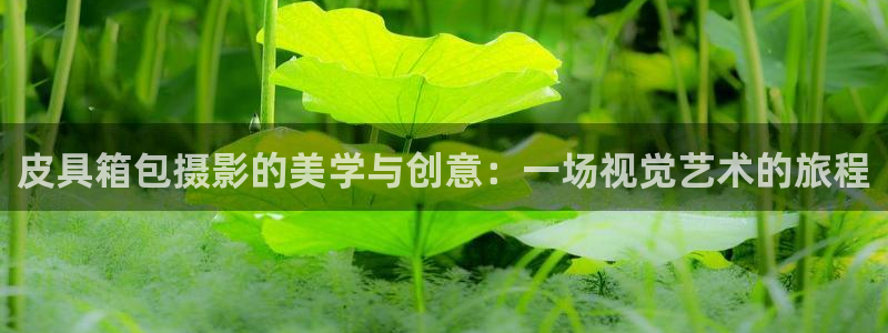 富邦天娱娱乐有限公司