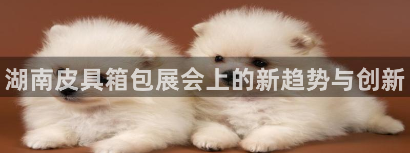 富邦娱乐平台 全礴网