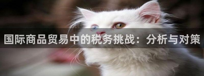 富邦娱乐提现不了