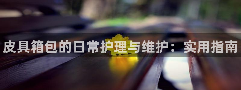 富邦娱乐-真博百楽