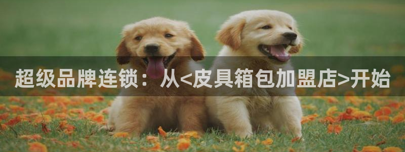 富邦娱乐登入 全礴网