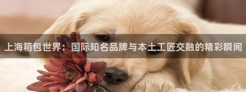 富邦娱乐-皇恩靠谱